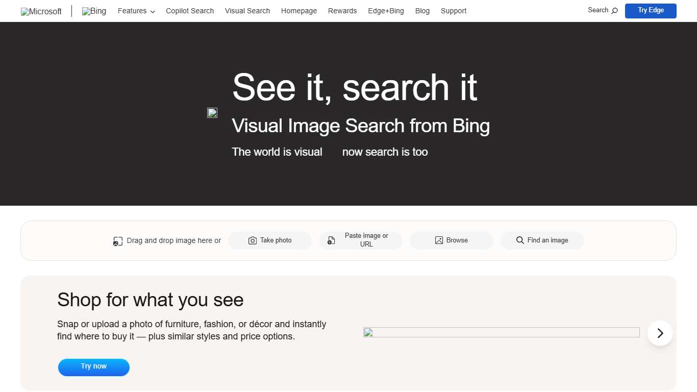 Free Visual Search Tool | Bing Visual Search